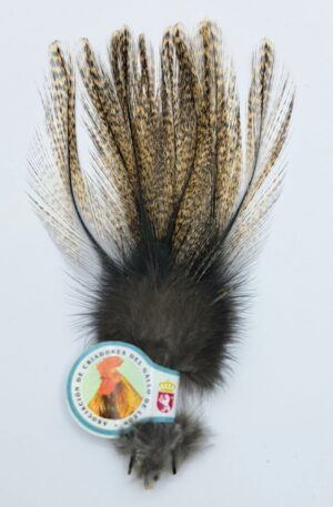 Hareline Coq de Leon