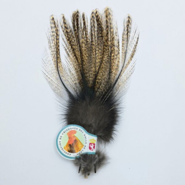 Hareline Coq de Leon - Image 2