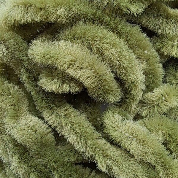 Hends Medium Chenille - Image 6