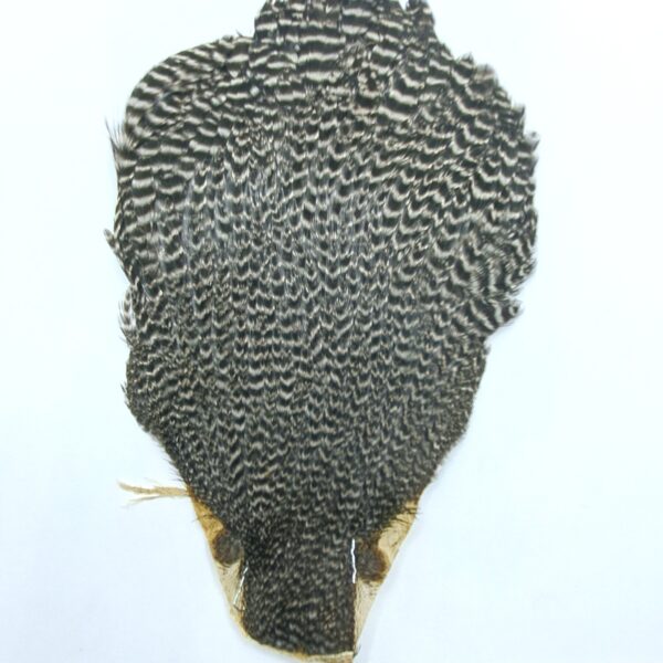 Hareline Hen Cape - Image 4