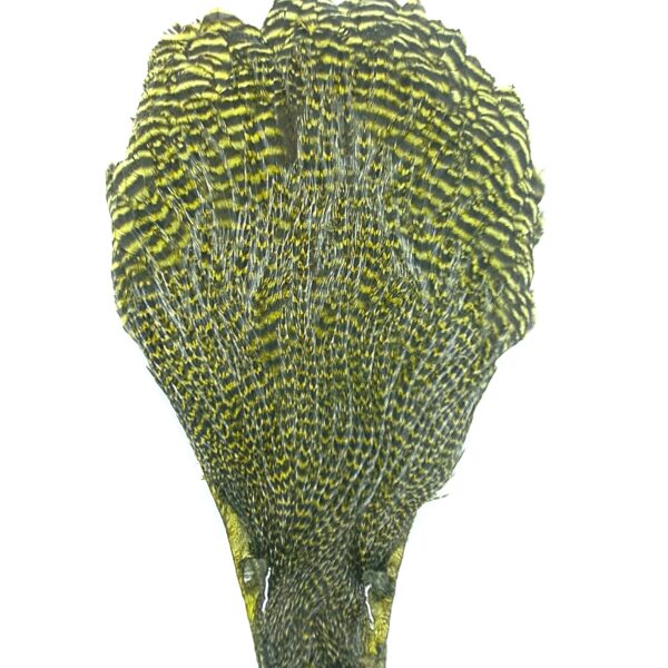 Hareline Hen Cape - Image 5