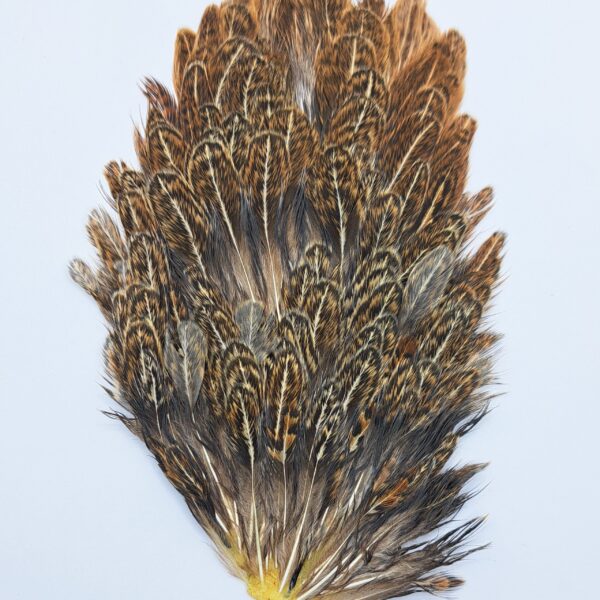 Hareline Indian Hen Hackle - Image 3