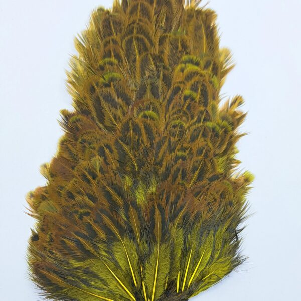Hareline Indian Hen Hackle - Image 4