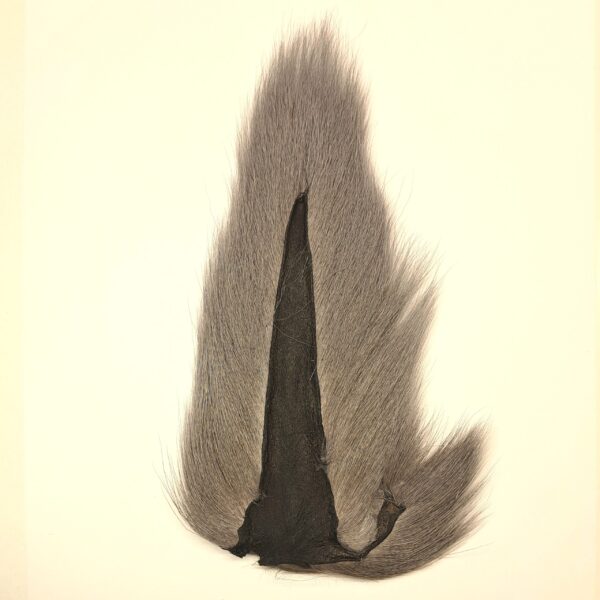 Hareline Large Northern Bucktail - Image 4
