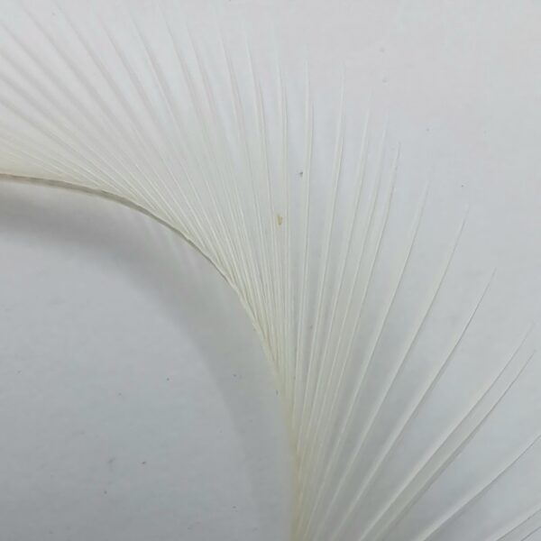 Hareline Stripped Goose Biots - Image 5