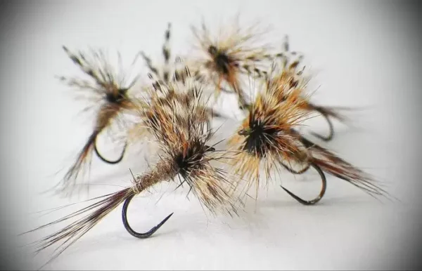 Adams Dry Fly - Image 2