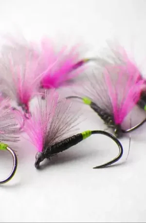 Hot Spot Black Quill Cdc F Fly