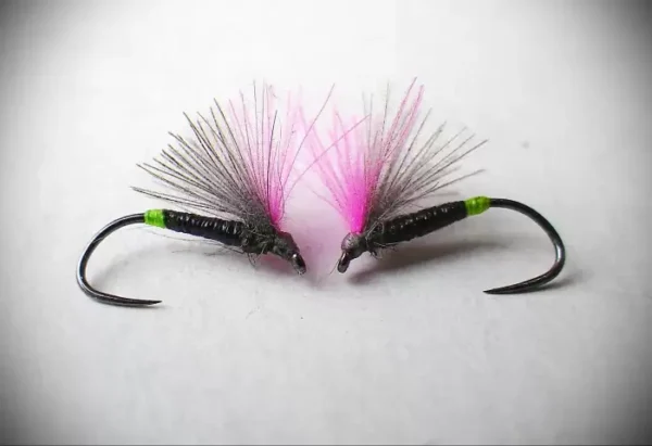 Hot Spot Black Quill Cdc F Fly - Image 4