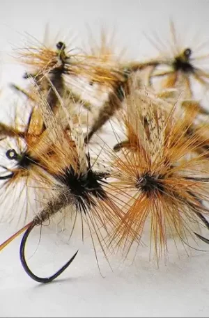 March Brown Dry