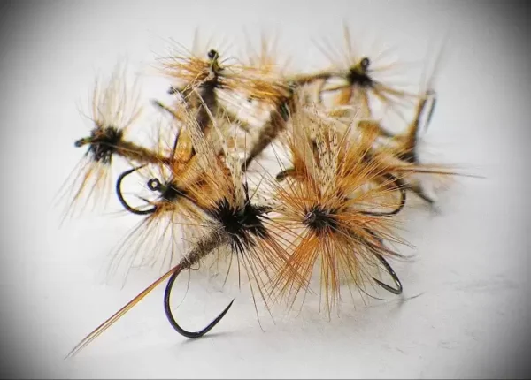 March Brown Dry - Image 2