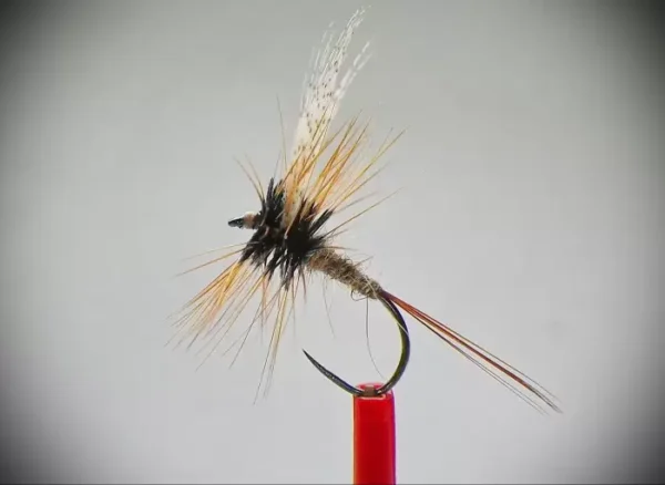 March Brown Dry