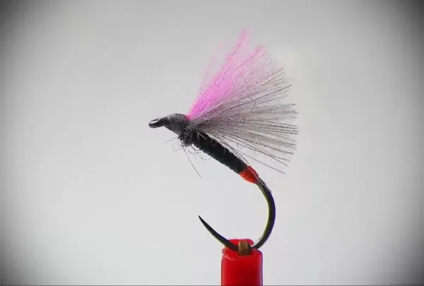Hot Spot Black Quill Cdc F Fly - Image 5