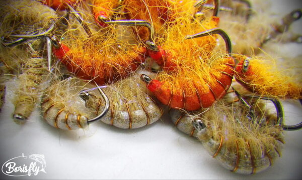 Gammarus Nymph - Image 6