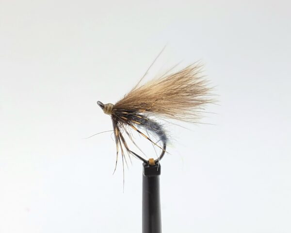 Cdc Emergers - Image 2