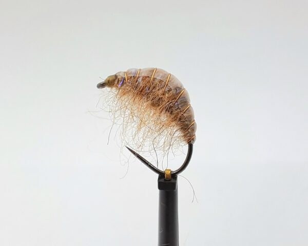 Gammarus Nymph