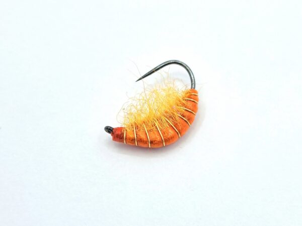 Gammarus Nymph - Image 4