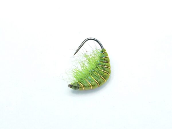 Gammarus Nymph - Image 3