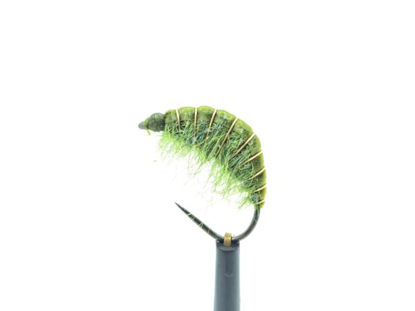 Gammarus Nymph - Image 2