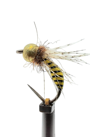 Wasp Nymph