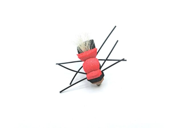 Polifoam Bugs - Image 7