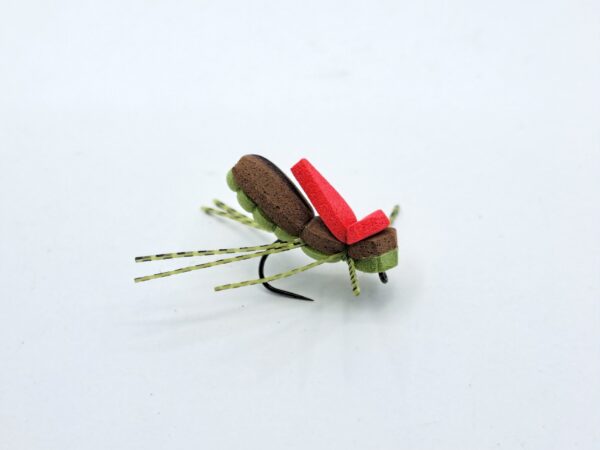 Polifoam Bugs - Image 6