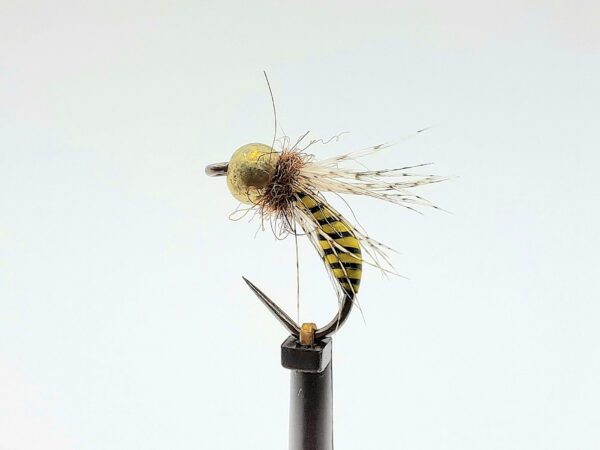 Wasp Nymph