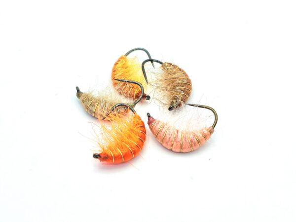 Gammarus Nymph - Image 13