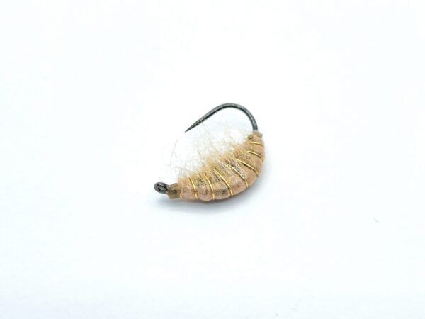 Gammarus Nymph - Image 11