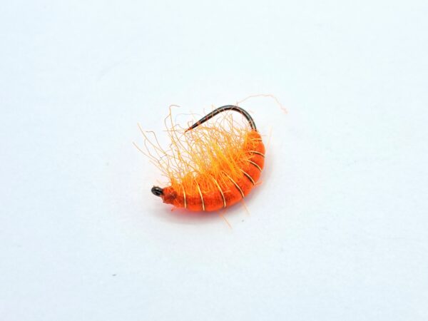 Gammarus Nymph - Image 9