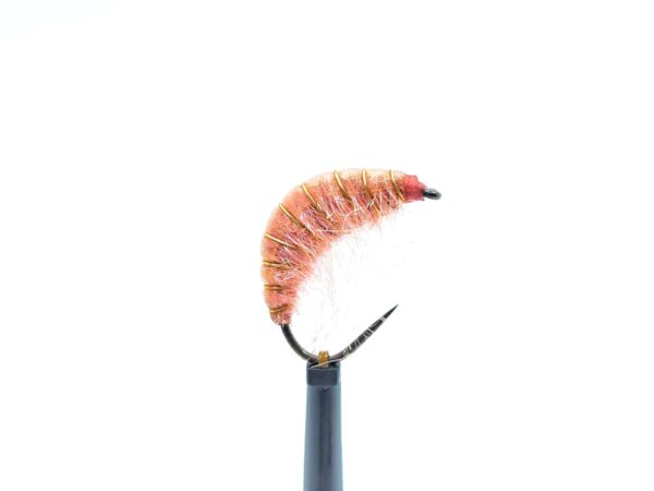 Gammarus Nymph