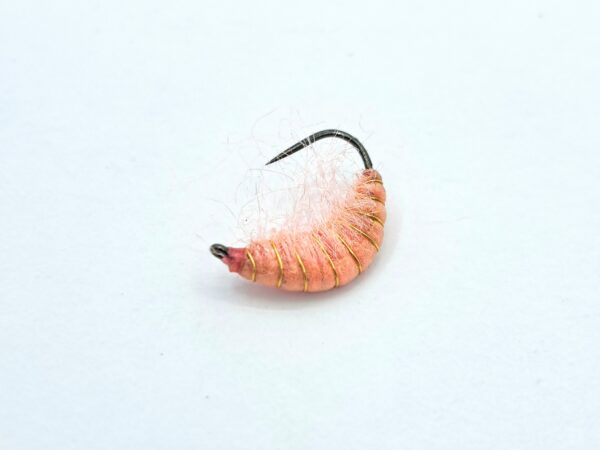 Gammarus Nymph - Image 7