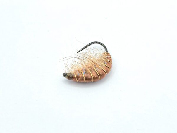 Gammarus Nymph - Image 6