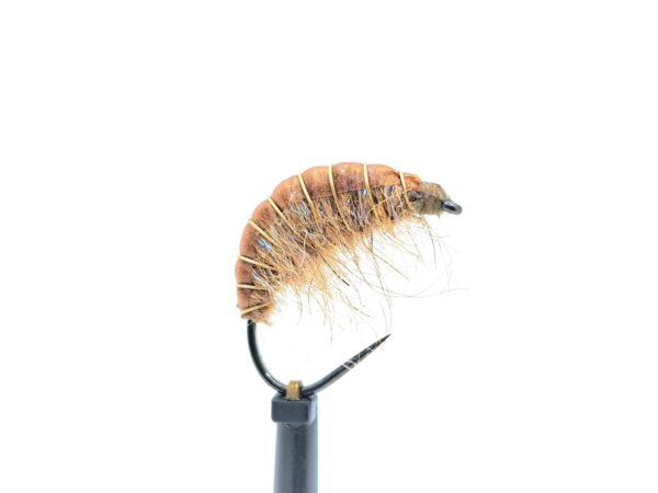 Gammarus Nymph - Image 10