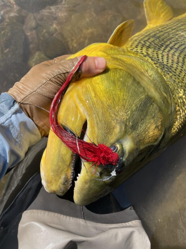 Andino Deceiver Streamer - Image 9