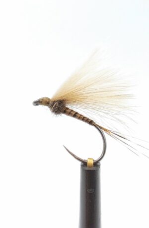 Peacock Quill Cdc Dun