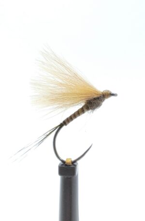 Peacock Quill Cdc Dun
