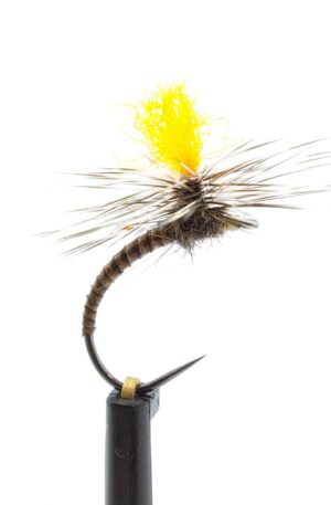 Peacock Quill Klinkhammer