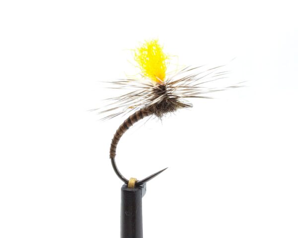 Peacock Quill Klinkhammer