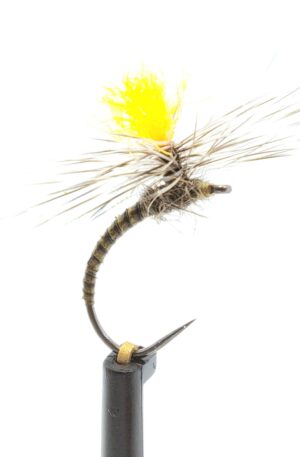 Peacock Quill Klinkhammer