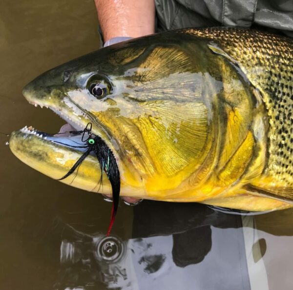 Andino Deceiver Streamer - Image 5