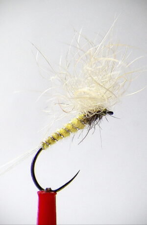 Snowshoe Spinner