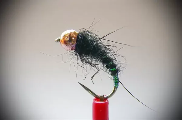 Black Caddis Larva Nymph