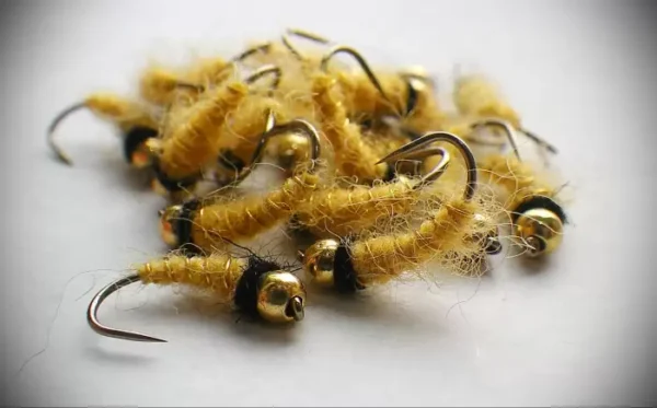 Cream Yarn Caddis Pupa - Image 2