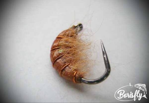 Gammarus Nymph - Image 5