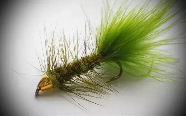 Heavy Woolly Bugger - Image 4