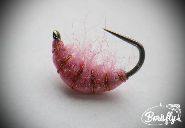 Gammarus Nymph - Image 3