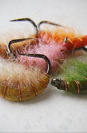Gammarus Nymph