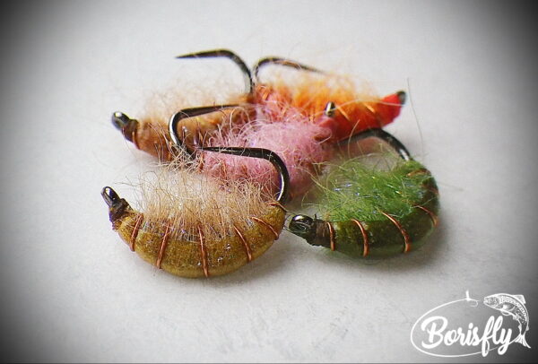 Gammarus Nymph - Image 2
