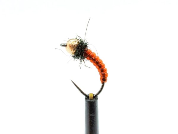 Body Glass Pupa