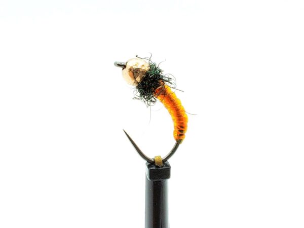 Body Glass Pupa - Image 7